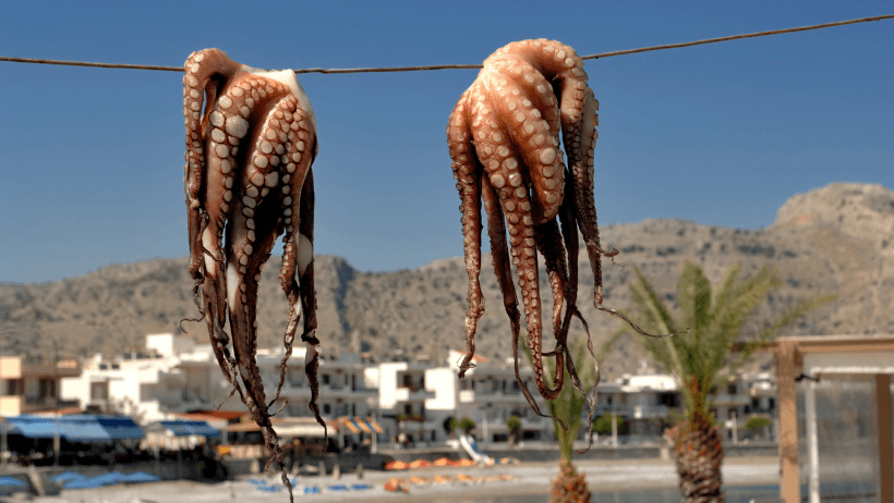 5 ΝΗΣΙΑ ΓΙΑ ΝΑ… ΦΑΣ ΚΑΛΑ ΦΕΤΟΣ ΤΟ ΚΑΛΟΚΑΙΡΙ!