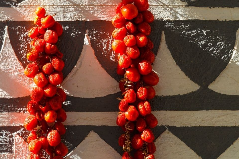 ferryscanner- FEBRUARYkarnavali