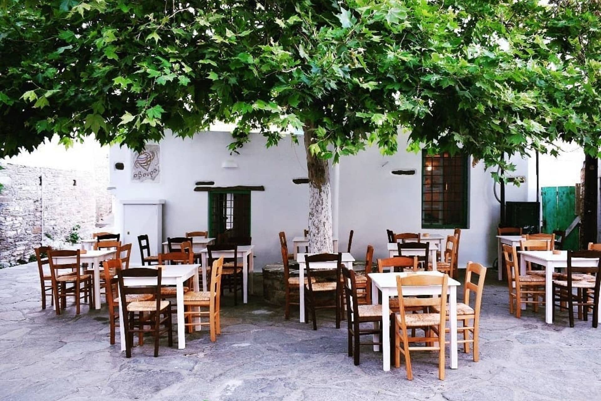 5 ΔΙΑΛΕΧΤΑ ΜΕΡΗ ΤΗΣ ΤΗΝΟΥ ΓΙΑ ΦΑΓΗΤΟ