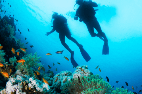 ferryscanner καταδύσεις