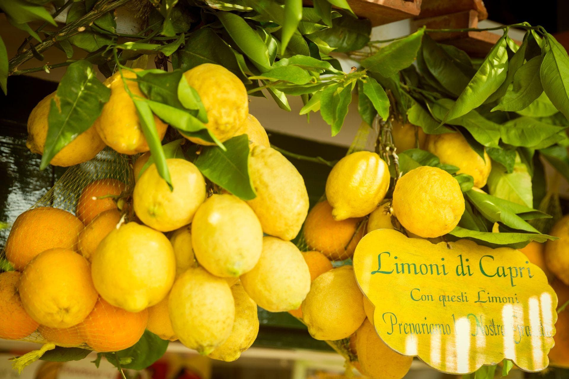 ΙΤΑΛΙΑ ΜΕ ΠΛΟΙΟ ΚΑΙ ΤΟ ΦΘΙΝΟΠΩΡΟ