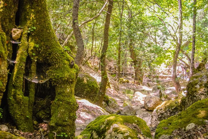 Paesaggio naturale immerso nel verde
