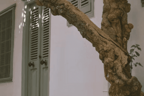 Γραφικό σοκάκι στην Ύδρα με γάτα που κοιμάται