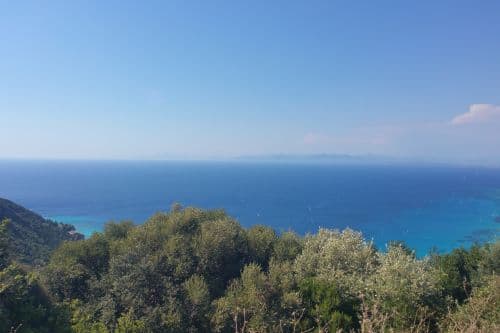 Träd och havsutsikt