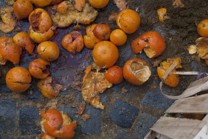 Gruppo di arance schiacciate sul selciato, segno evidente della celebre Battaglia delle Arance che si svolge durante il Carnevale di Ivrea, in Piemonte.