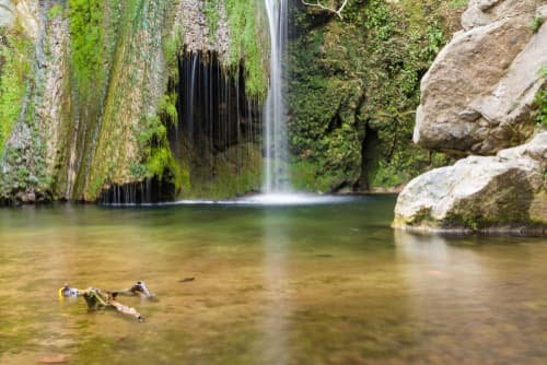 Tranquil waterfall cascading into a serene pond, surrounded by mossy rocks and lush greenery, with a branch floating on the water's surface.