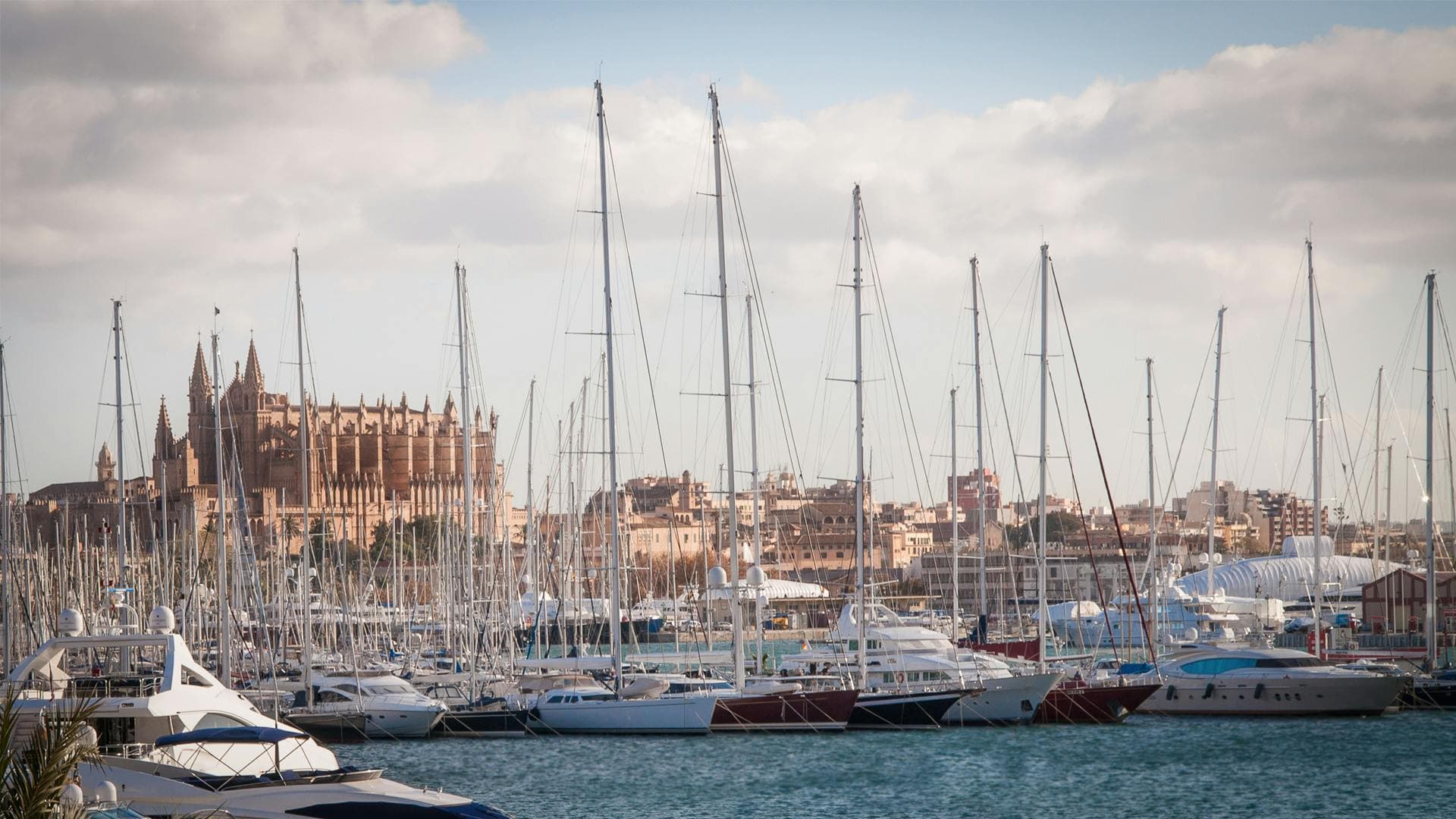 Segelboote in der Marina des Hafens von Palma de Mallorca mit der Kathedrale im Hintergrund