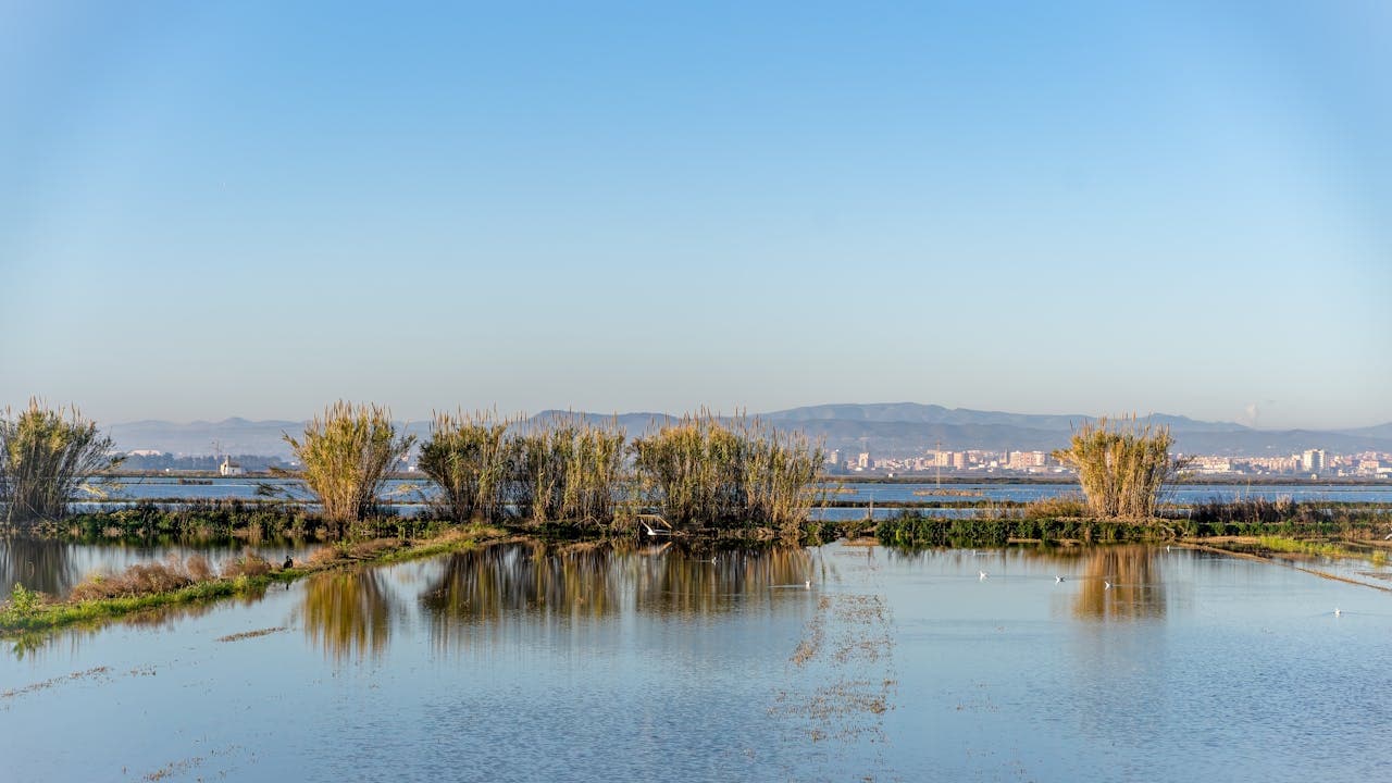 Sümpfe unter blauem Himmel und Berge im Hintergrund