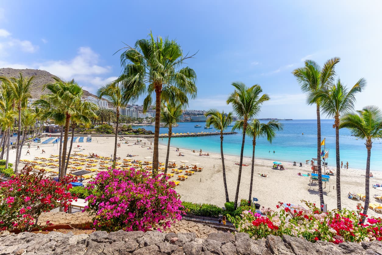Palm trees, blue skies and a crystal-clear beach.