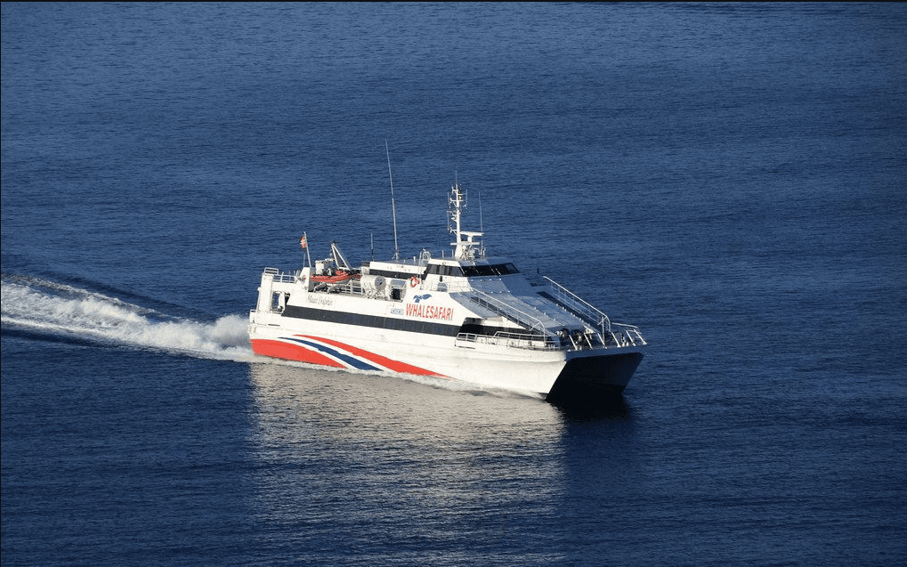 A daytime overhead photo of a Sky Marine Ferries ferry moving in the middle of the sea