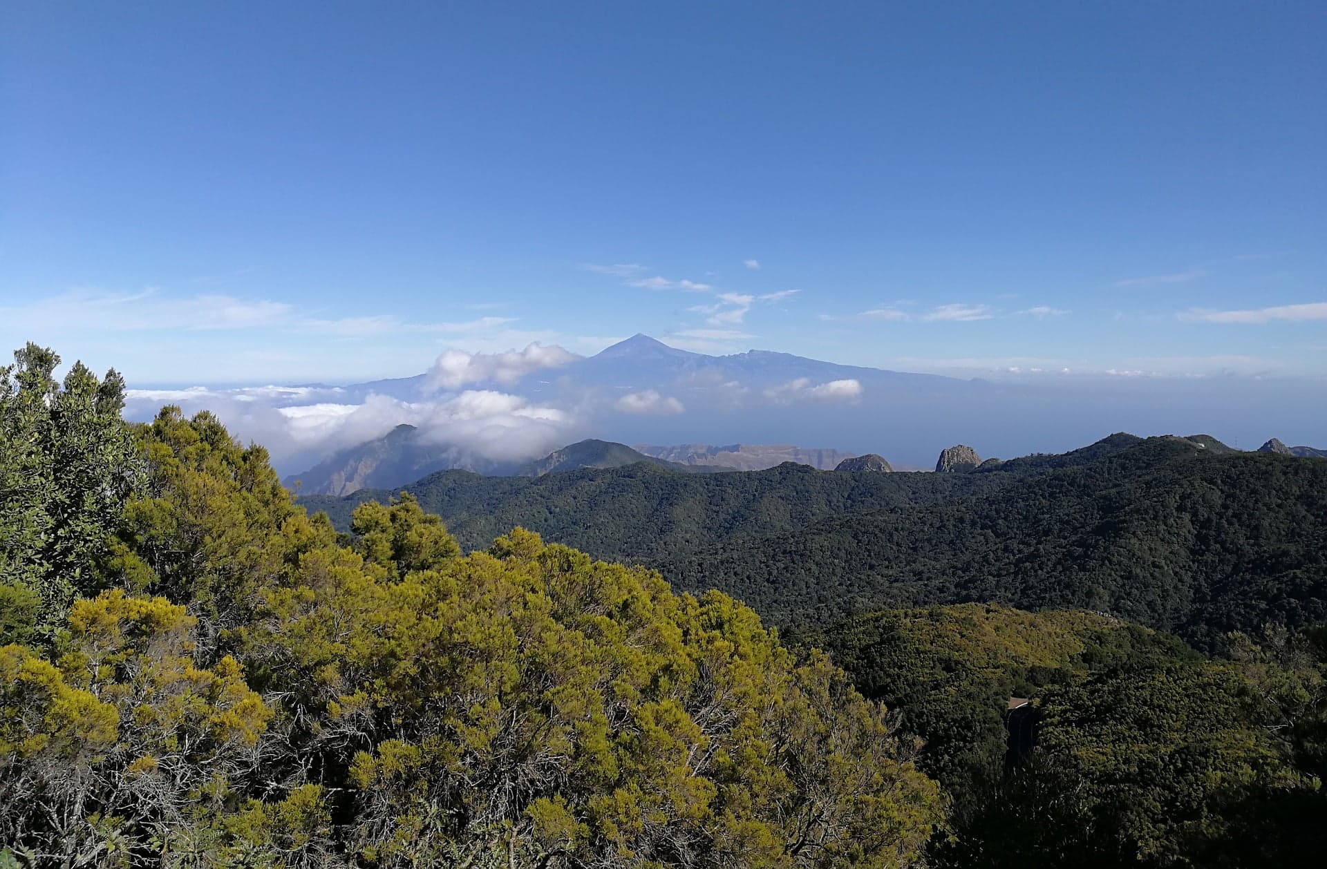 Large green national park with another island and a large mountain peak in the distance