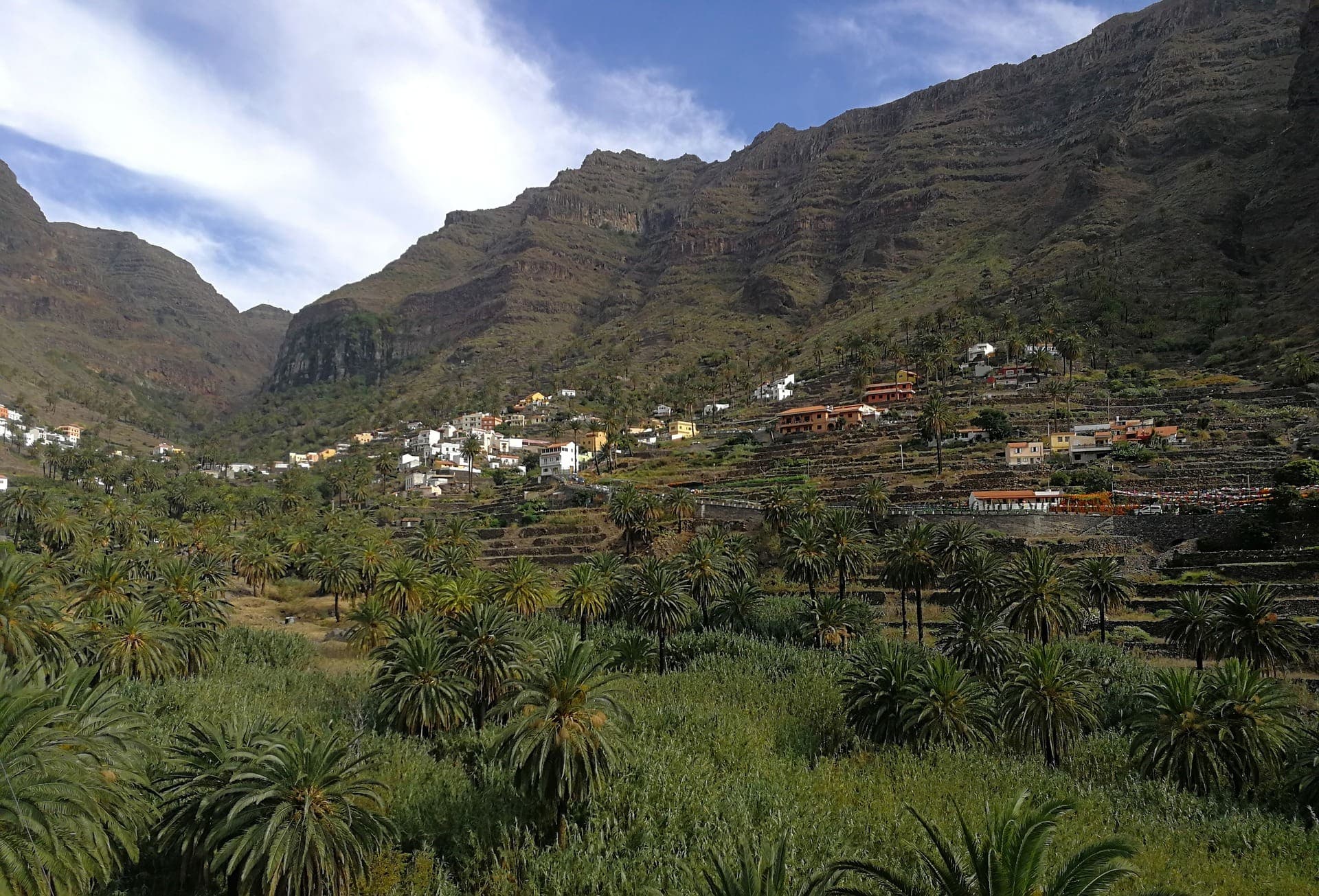 A green valley with some houses and mountains in the background.
