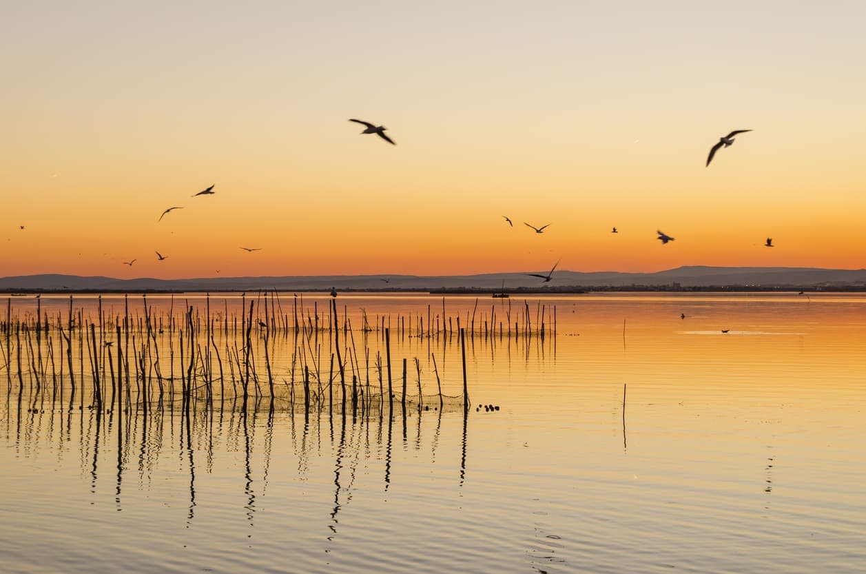 Ptice, voda i zalazak sunca u zaštićenom parku prirode S'Albufera des Grau na španjolskom otoku Menorci.