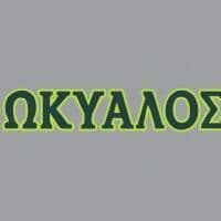 Remezzo Maritime logo