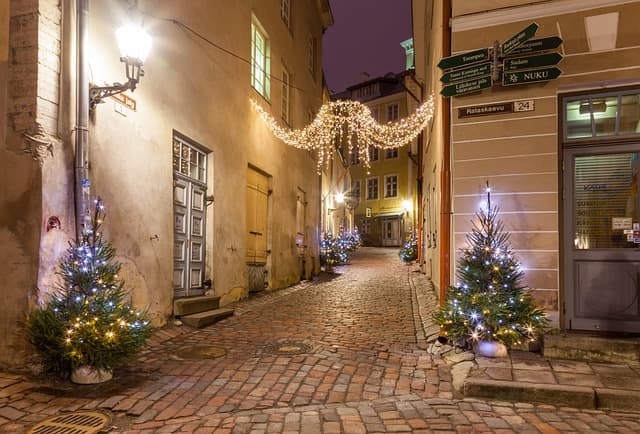 Stradina medievale di Tallinn decorata con luci natalizie e piccoli alberi illuminati durante le feste.