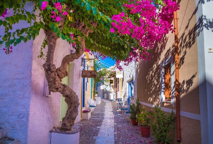 Vicolo del borgo di Ano Syros con case colorate, bouganville in fiore e atmosfera tipica delle Cicladi