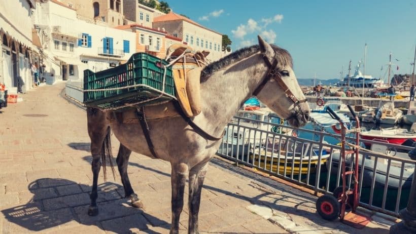 ferryscanner-greece-hydra