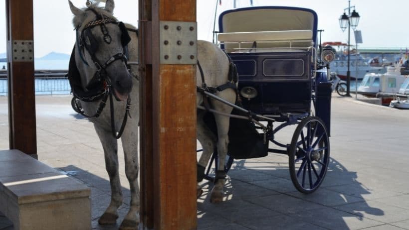 ferryscanner-greece-spetses