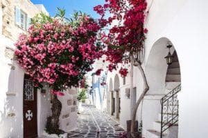 flowers in the street of paros, greece