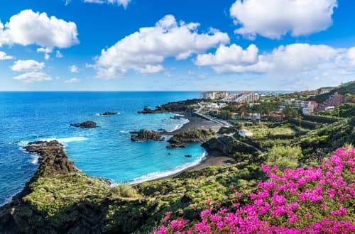 A picturesque coastal landscape with vivid pink flowers in the foreground, a black sand beach, rocky coves, and a town backdrop under a partly cloudy sky.
