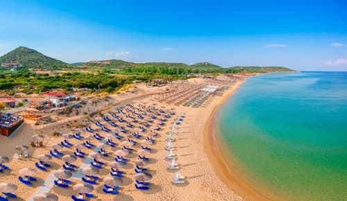 A photo of a crowded beach with many colorful umbrellas and lounge chairs.