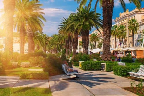 Avenue of palm trees in Split