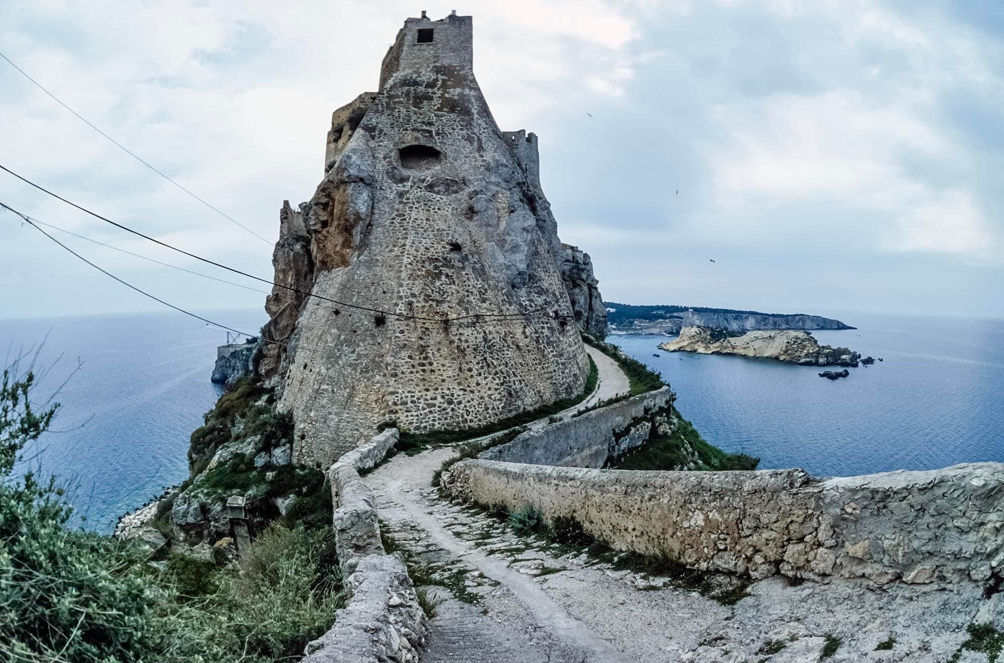 NAVITREMITI: SPECIAL TRIPS TO THE TREMITI ISLANDS IN SEPTEMBER