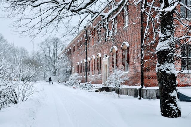 Un edificio de ladrillo rojo rodeado de nieve, con un camino nevado y árboles cubiertos de hielo en un día de invierno en Soumenlinna.