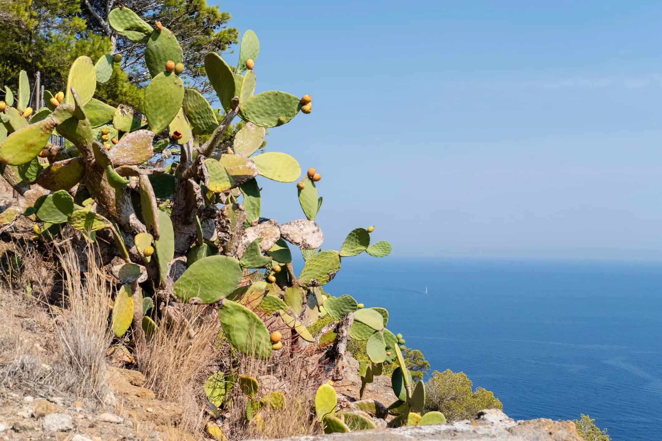 Isole minori italiane a fine estate: 4 mete poco conosciute