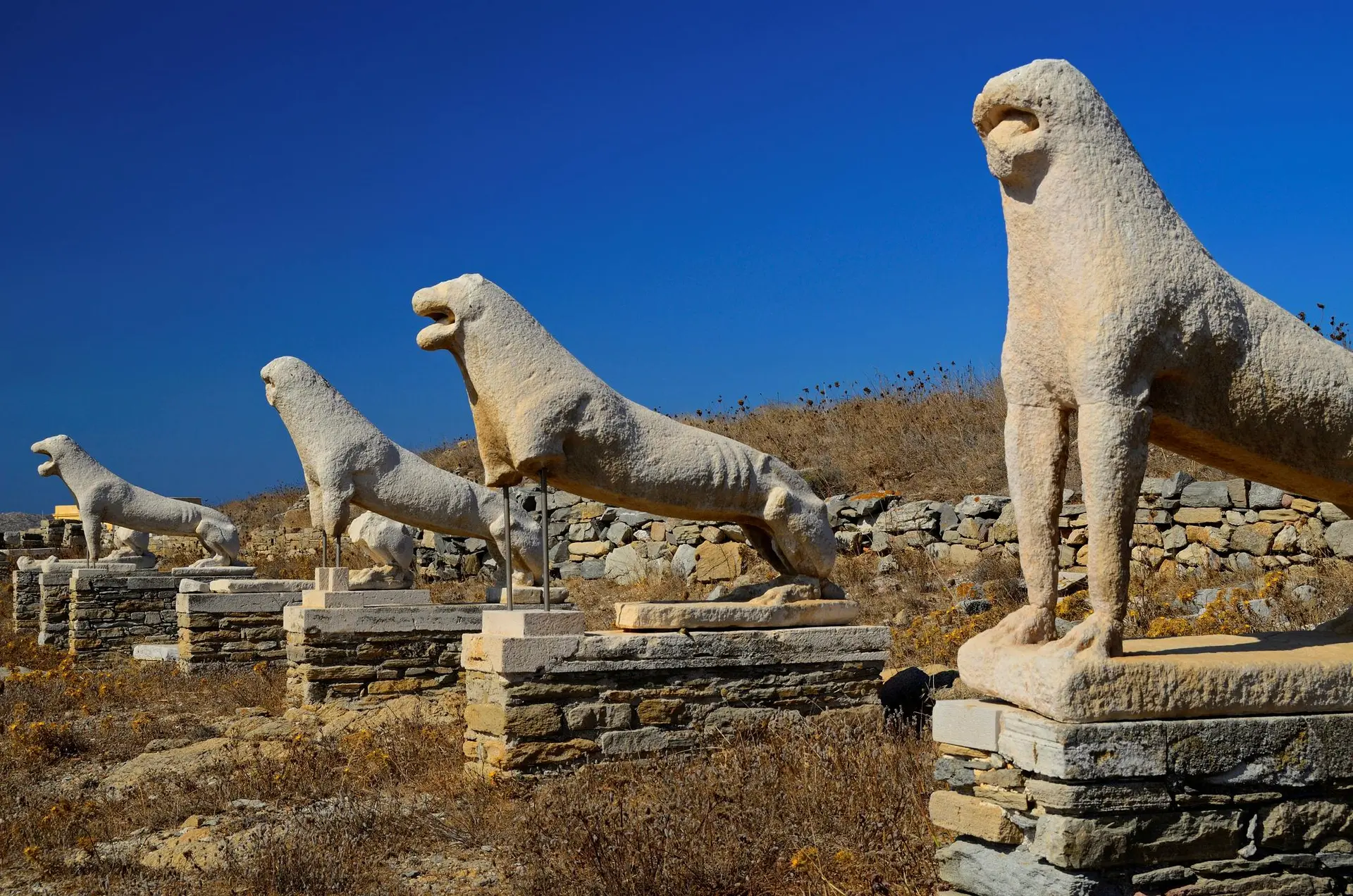 The stone lions of Delos, Greece stand magnificently under the summer sun.