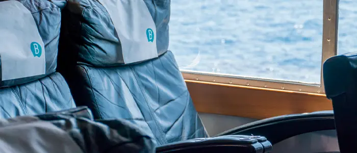 高级经济舱 指定席位