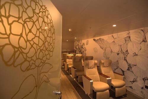 Platinum Class 指定席位